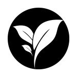 Eco-Friendly-Options